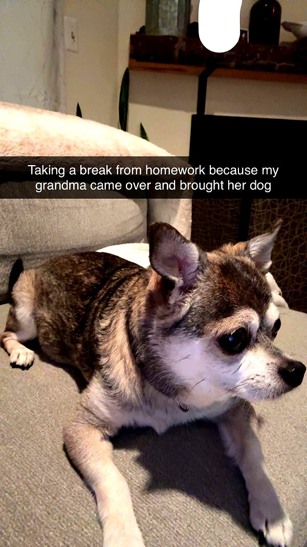 kayleedolisi snapchat image archive image