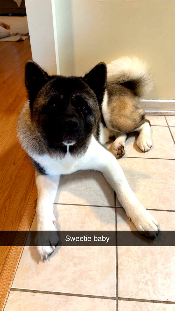 kayleedolisi snapchat image archive image
