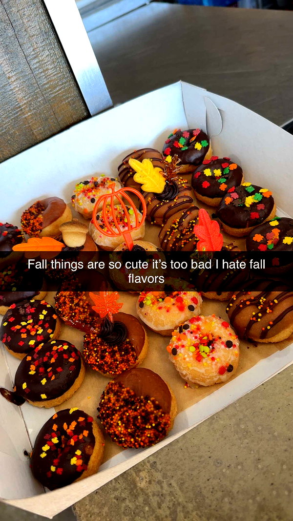 kayleedolisi snapchat image archive image