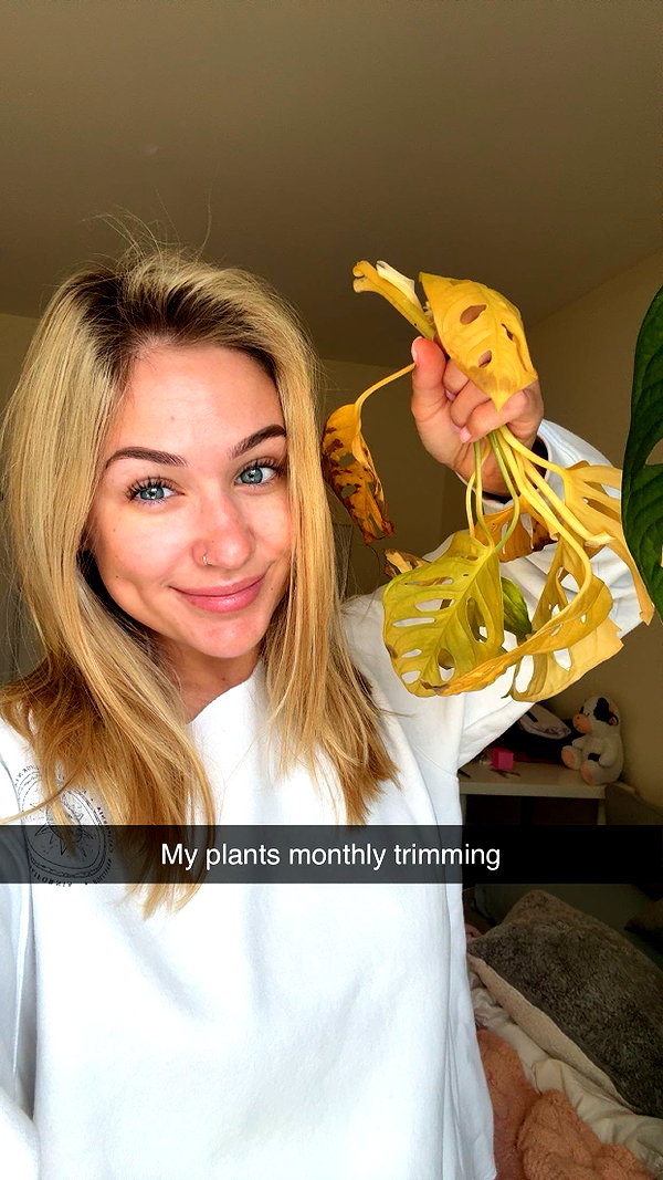 kayleedolisi snapchat image archive image