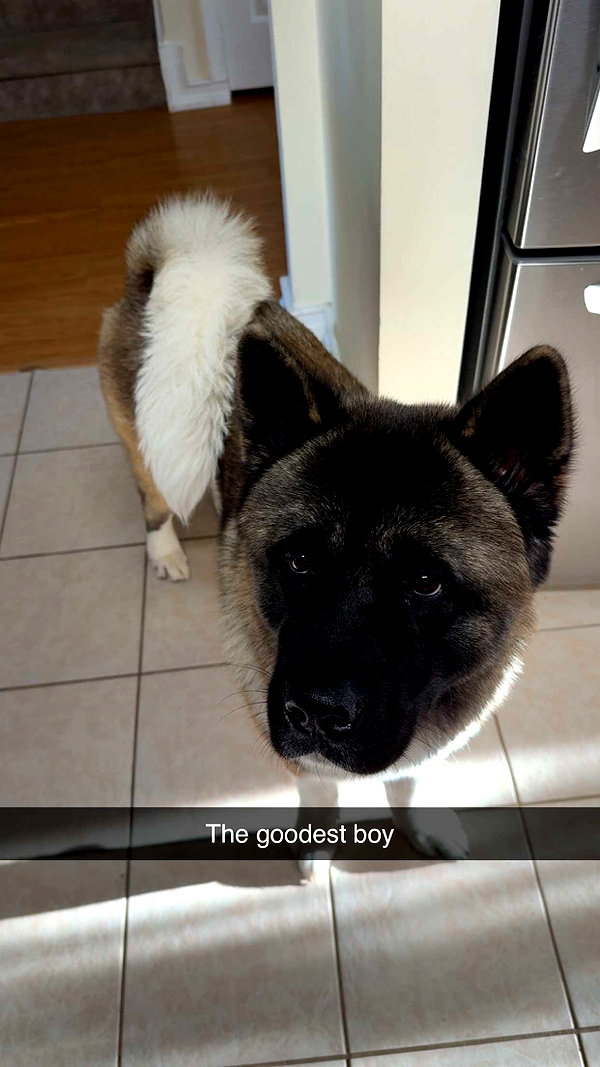 kayleedolisi snapchat image archive image