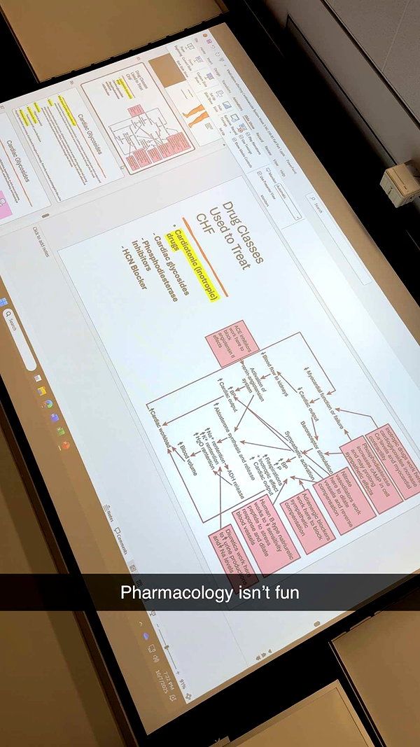 kayleedolisi snapchat image archive image