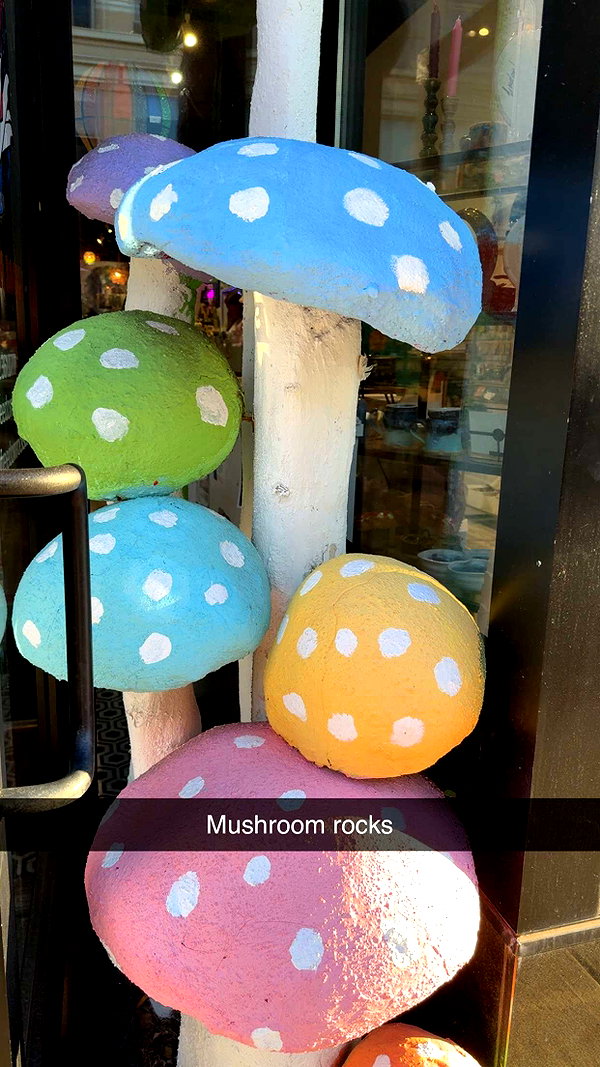 kayleedolisi snapchat image archive image