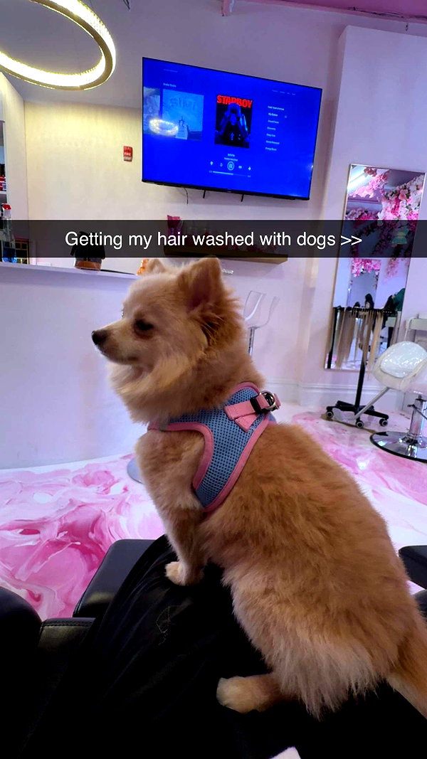 kayleedolisi snapchat image archive image