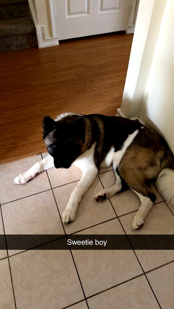kayleedolisi snapchat image archive image