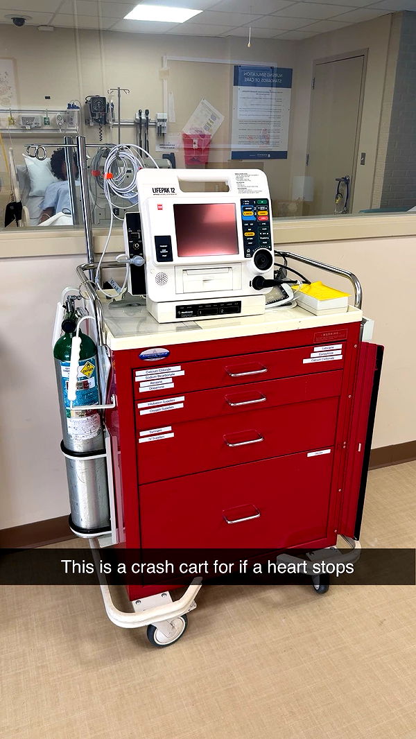 kayleedolisi image ~ Altpins