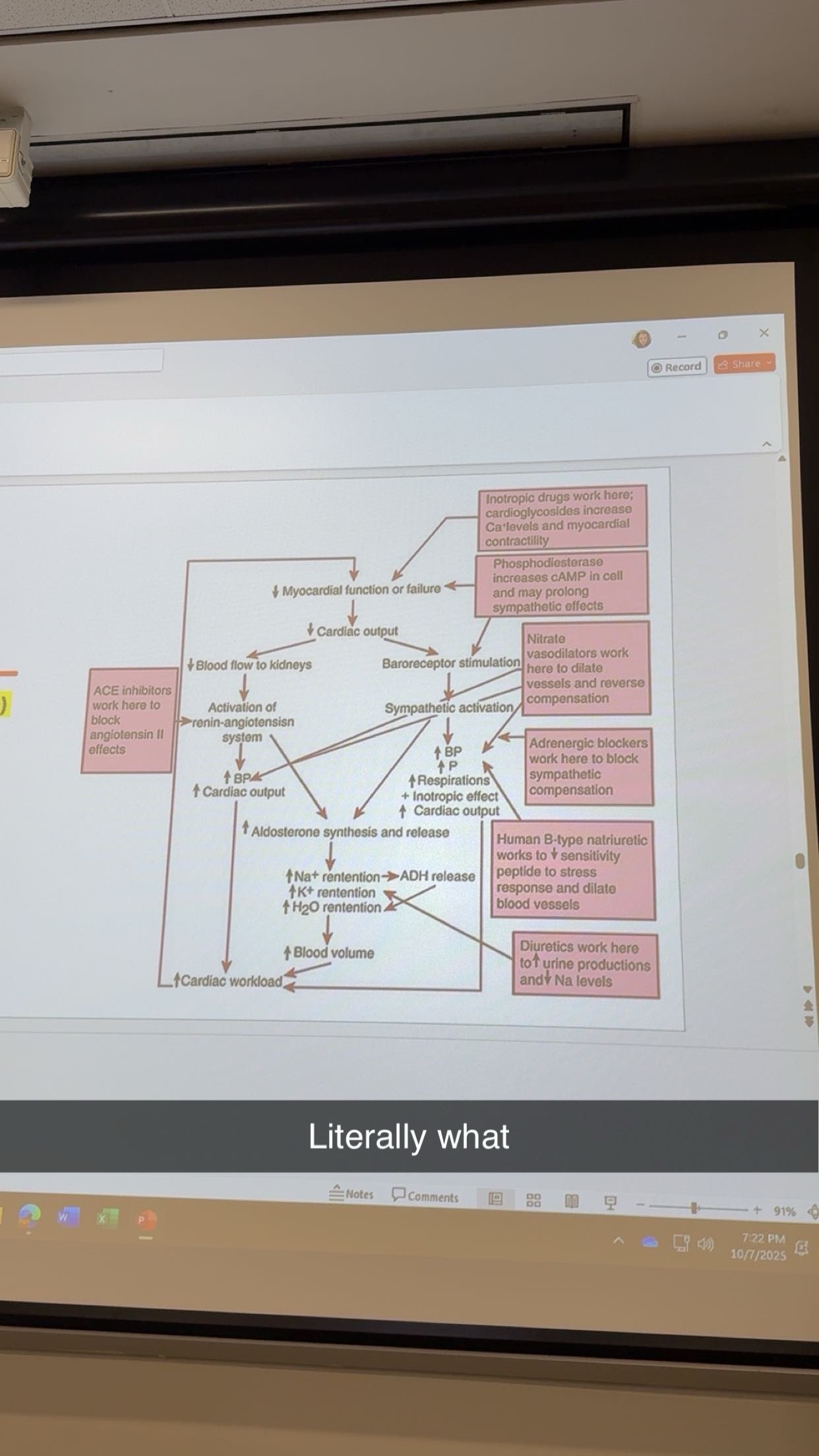 kayleedolisi snapchat image archive image