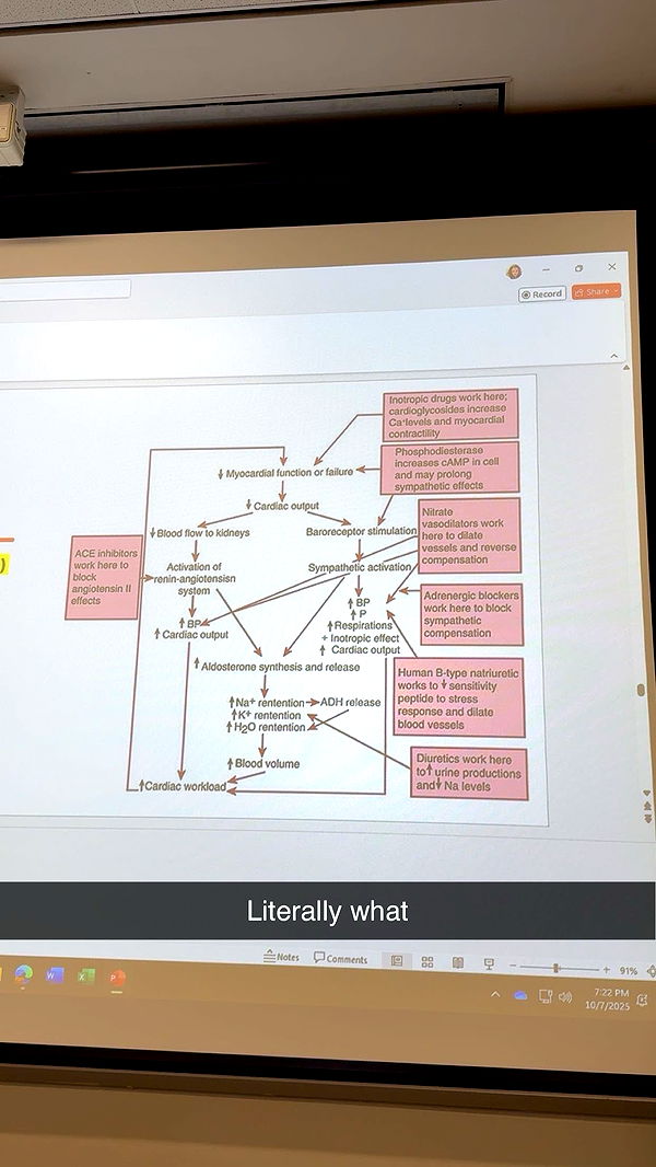 kayleedolisi image ~ Altpins