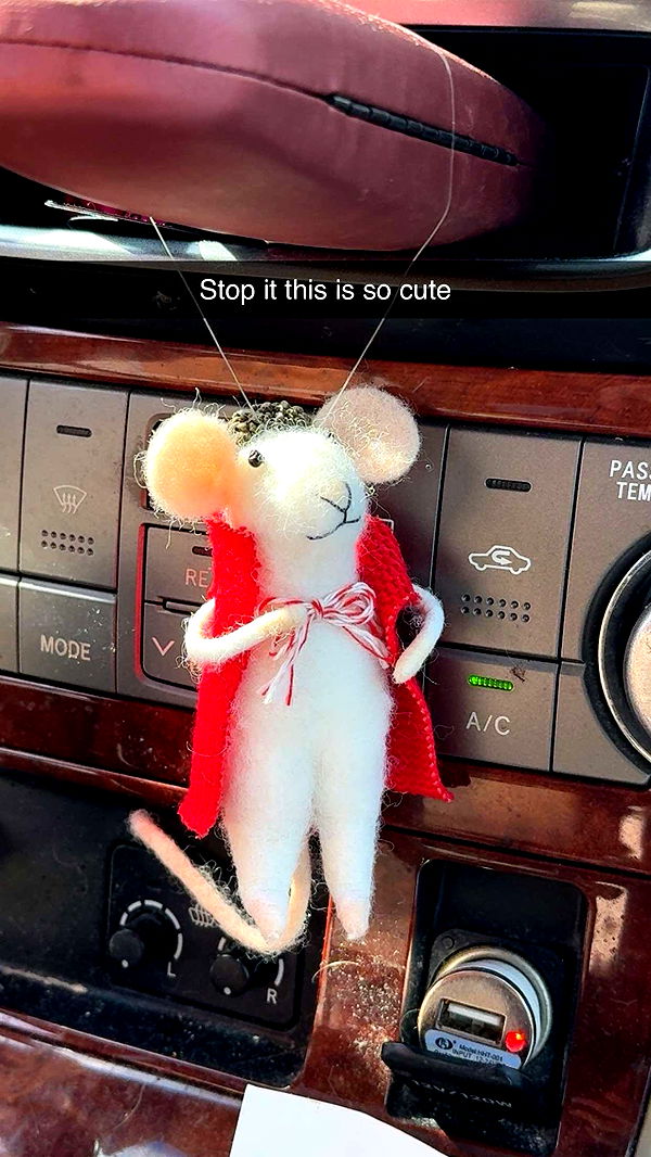 kayleedolisi image ~ Altpins