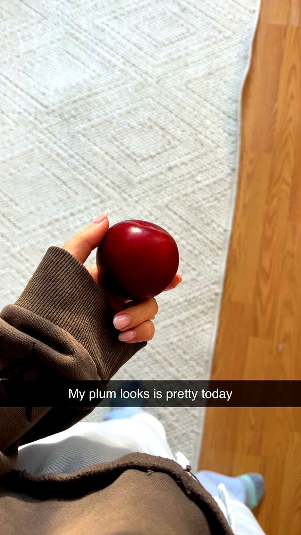 kayleedolisi image ~ Altpins