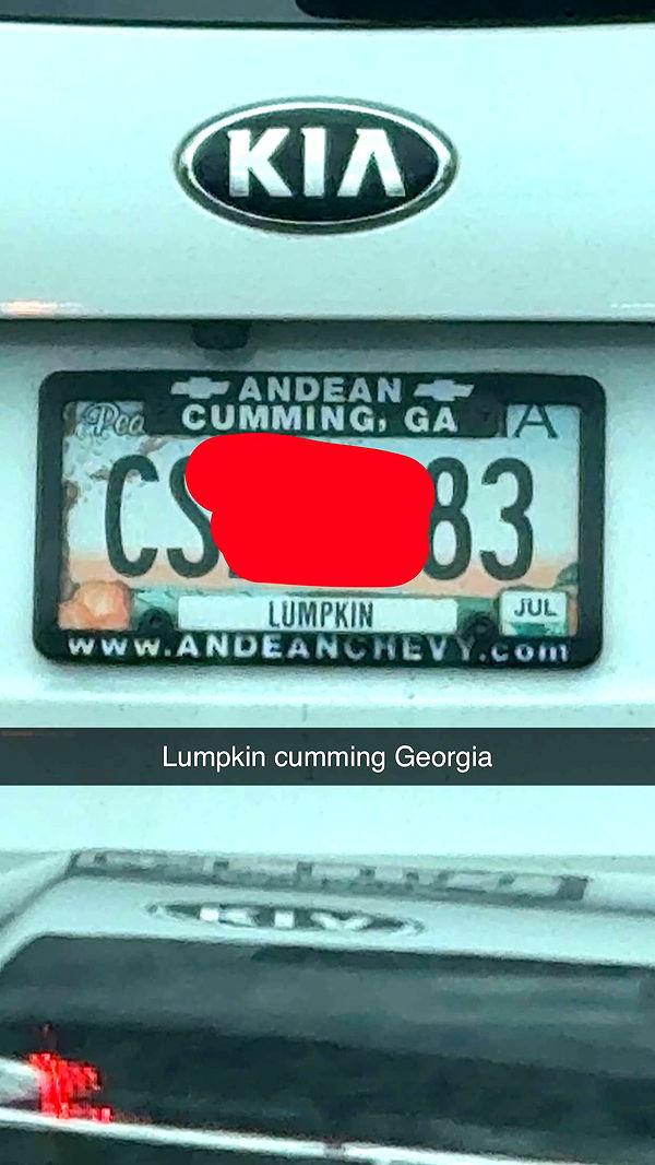 kayleedolisi image ~ Altpins