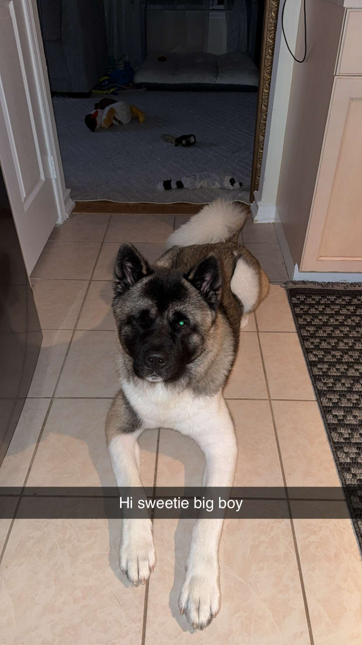 kayleedolisi snapchat image archive image