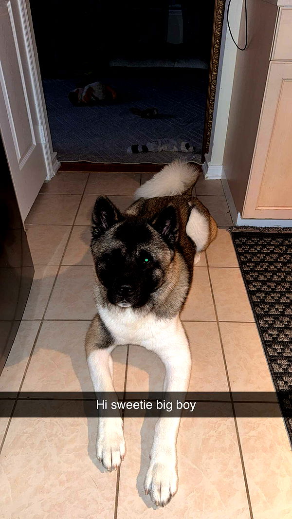 kayleedolisi image ~ Altpins