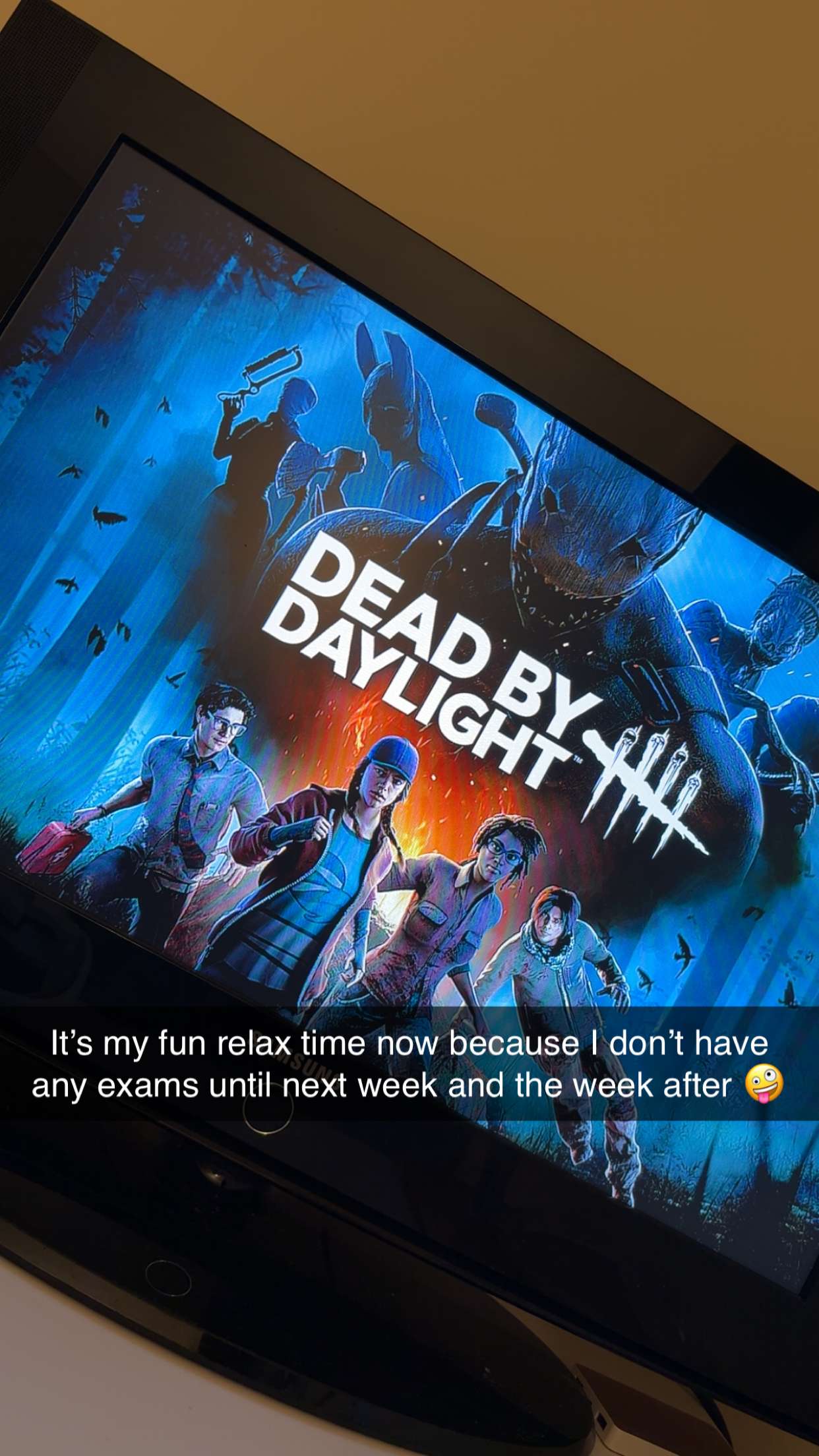 kayleedolisi snapchat image archive image