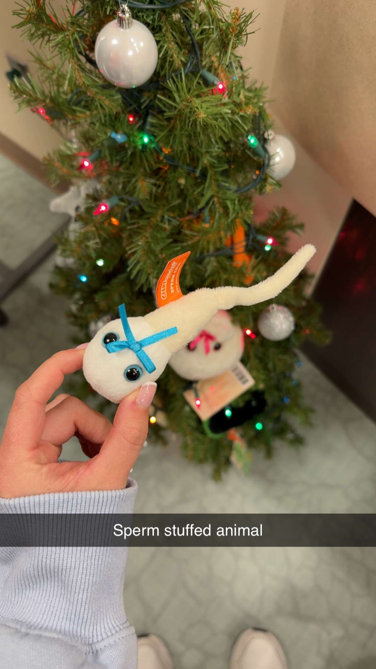 kayleedolisi snapchat image archive image