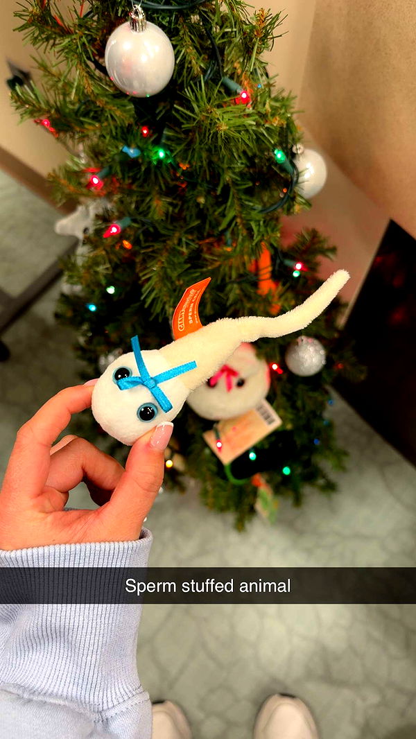 kayleedolisi image ~ Altpins