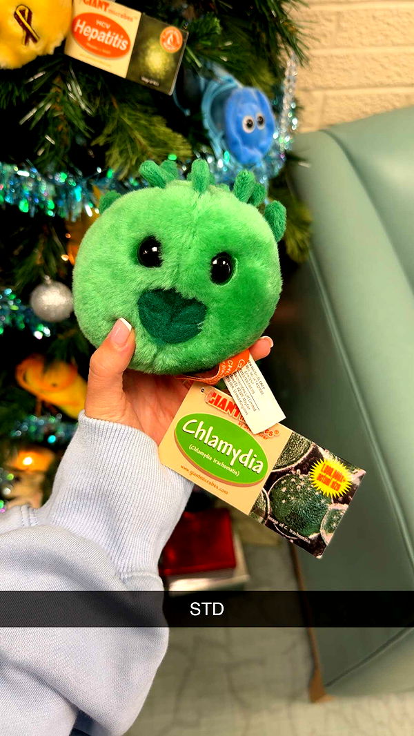 kayleedolisi image ~ Altpins