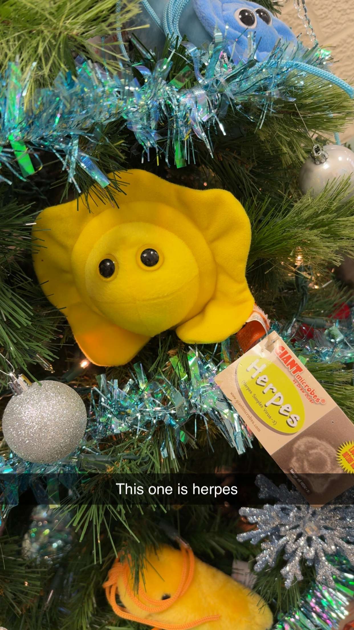 kayleedolisi snapchat image archive image