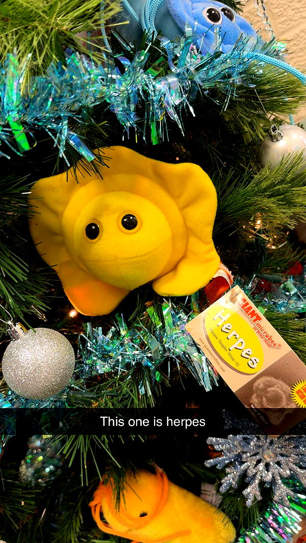 kayleedolisi image ~ Altpins