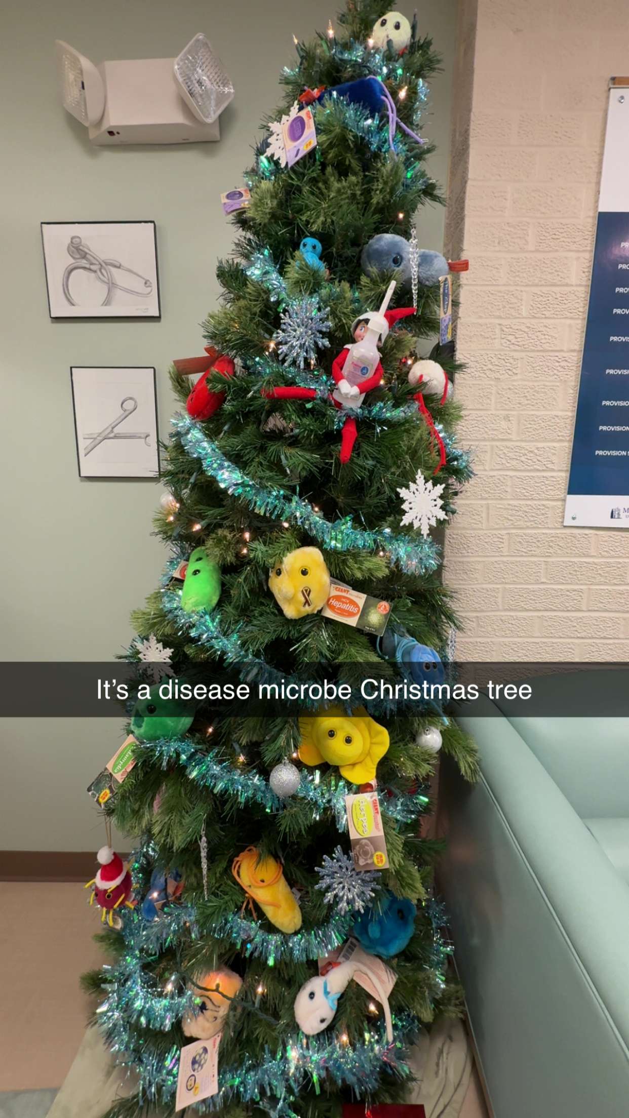 kayleedolisi snapchat image archive image