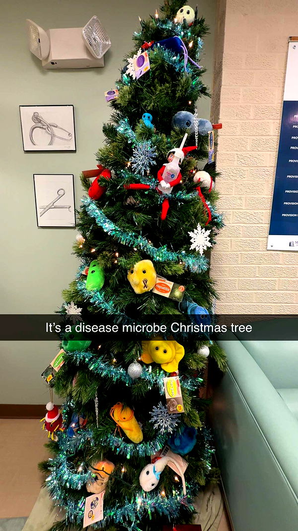 kayleedolisi image ~ Altpins