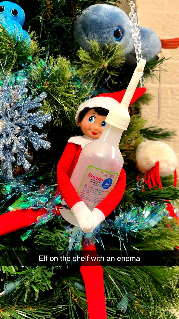 kayleedolisi image ~ Altpins