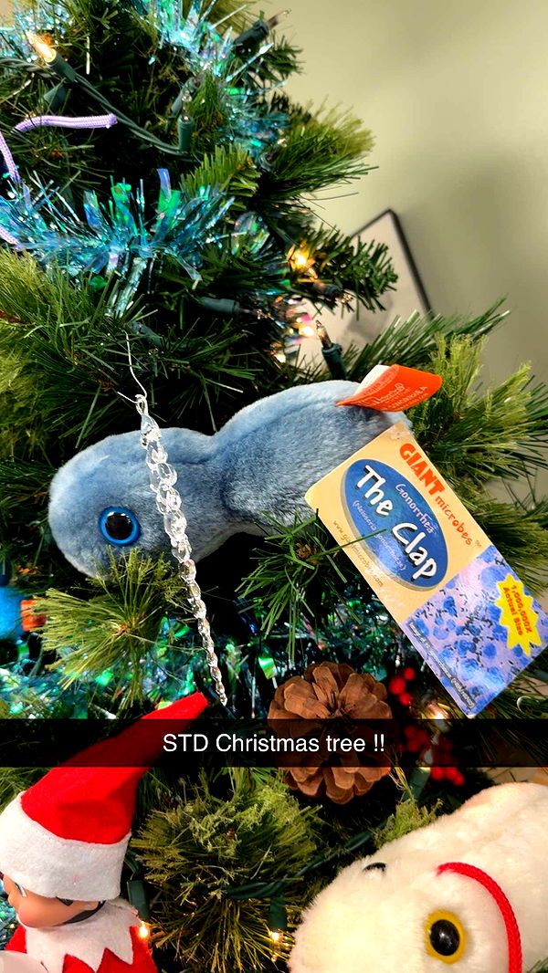 kayleedolisi image ~ Altpins