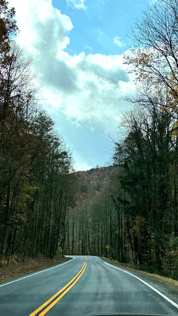 kayleedolisi image ~ Altpins