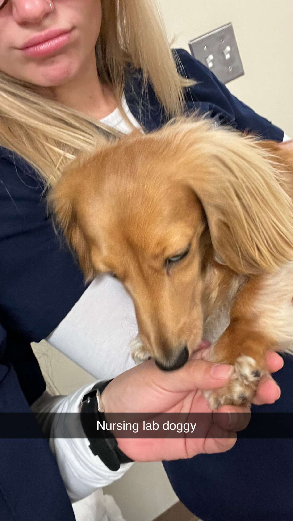 kayleedolisi snapchat image archive image