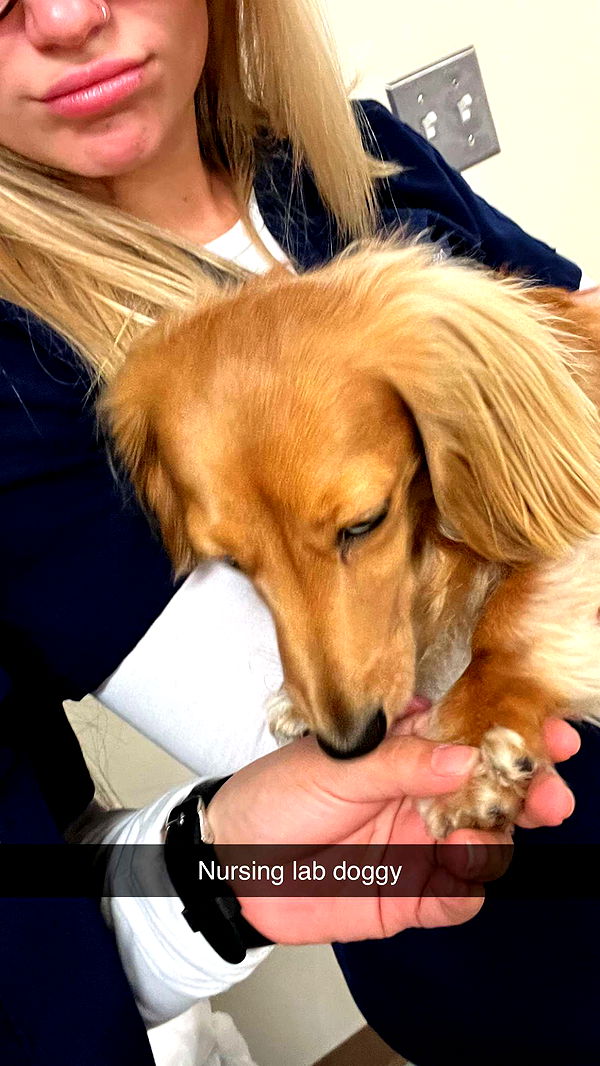 kayleedolisi image ~ Altpins