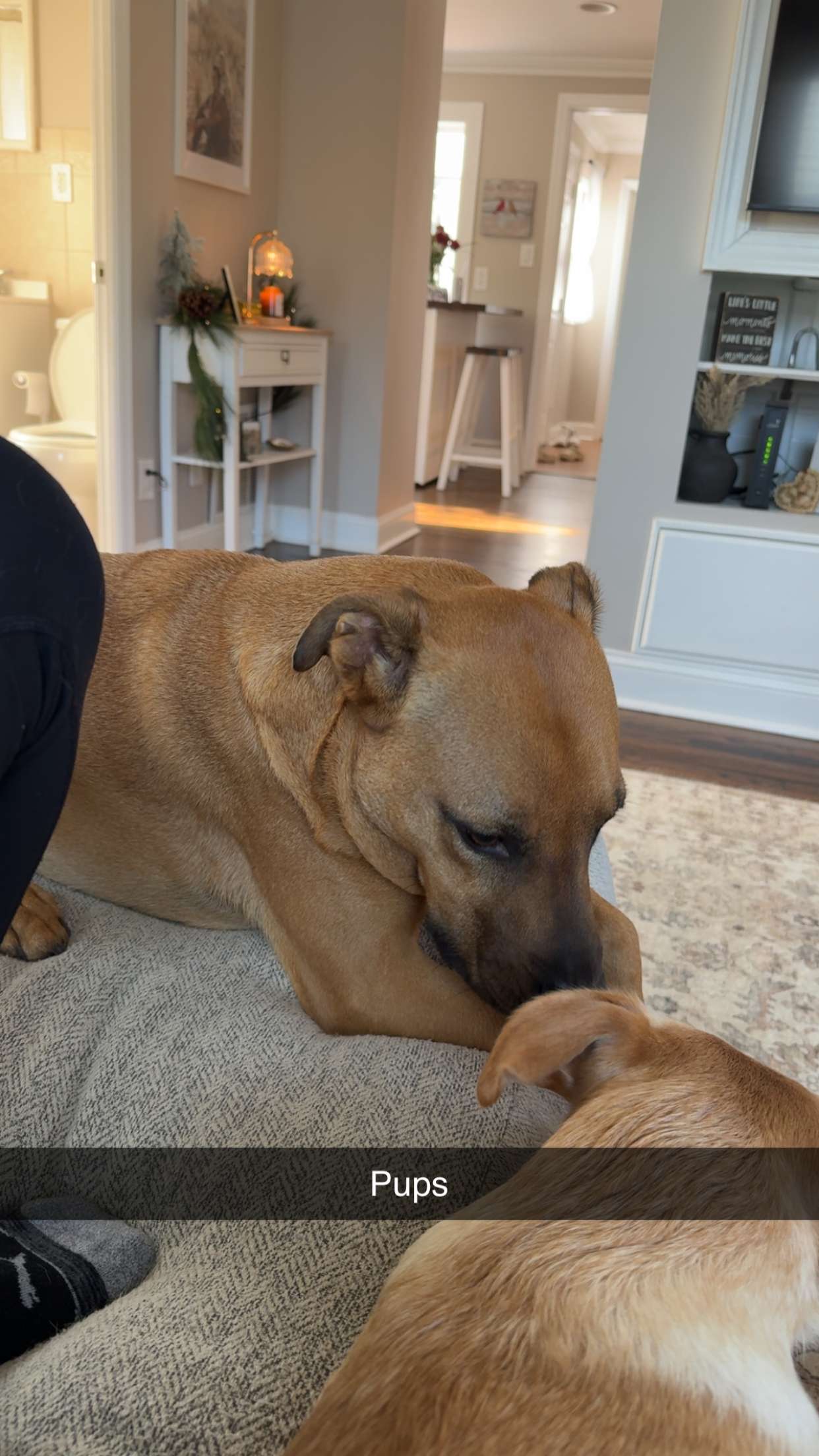 kayleedolisi snapchat image archive image