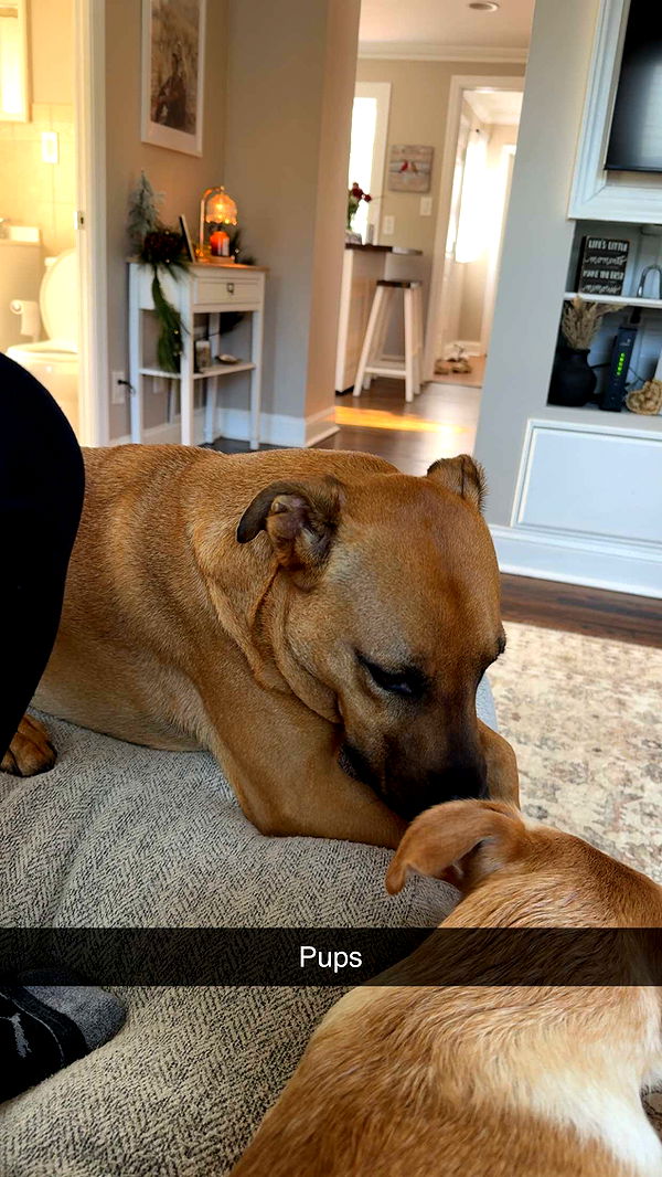 kayleedolisi image ~ Altpins