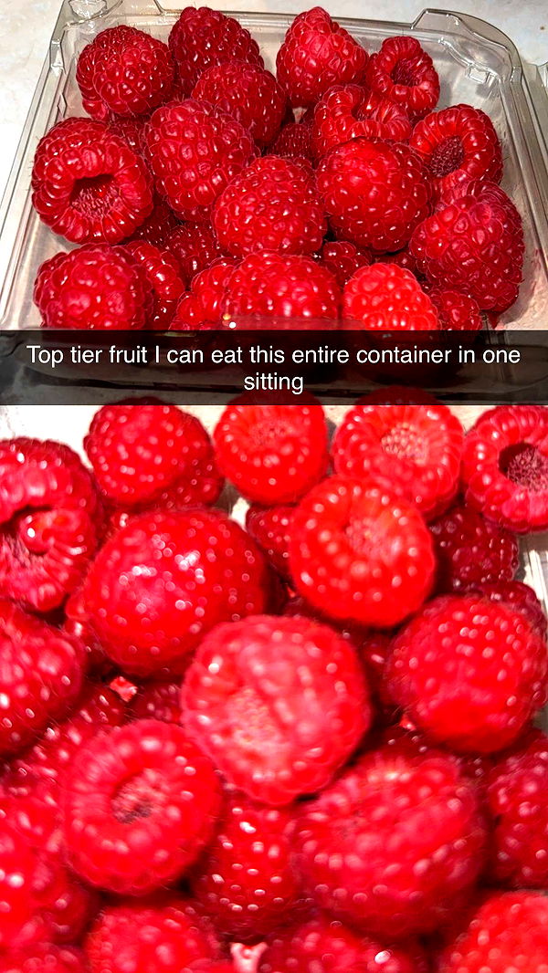 kayleedolisi image ~ Altpins