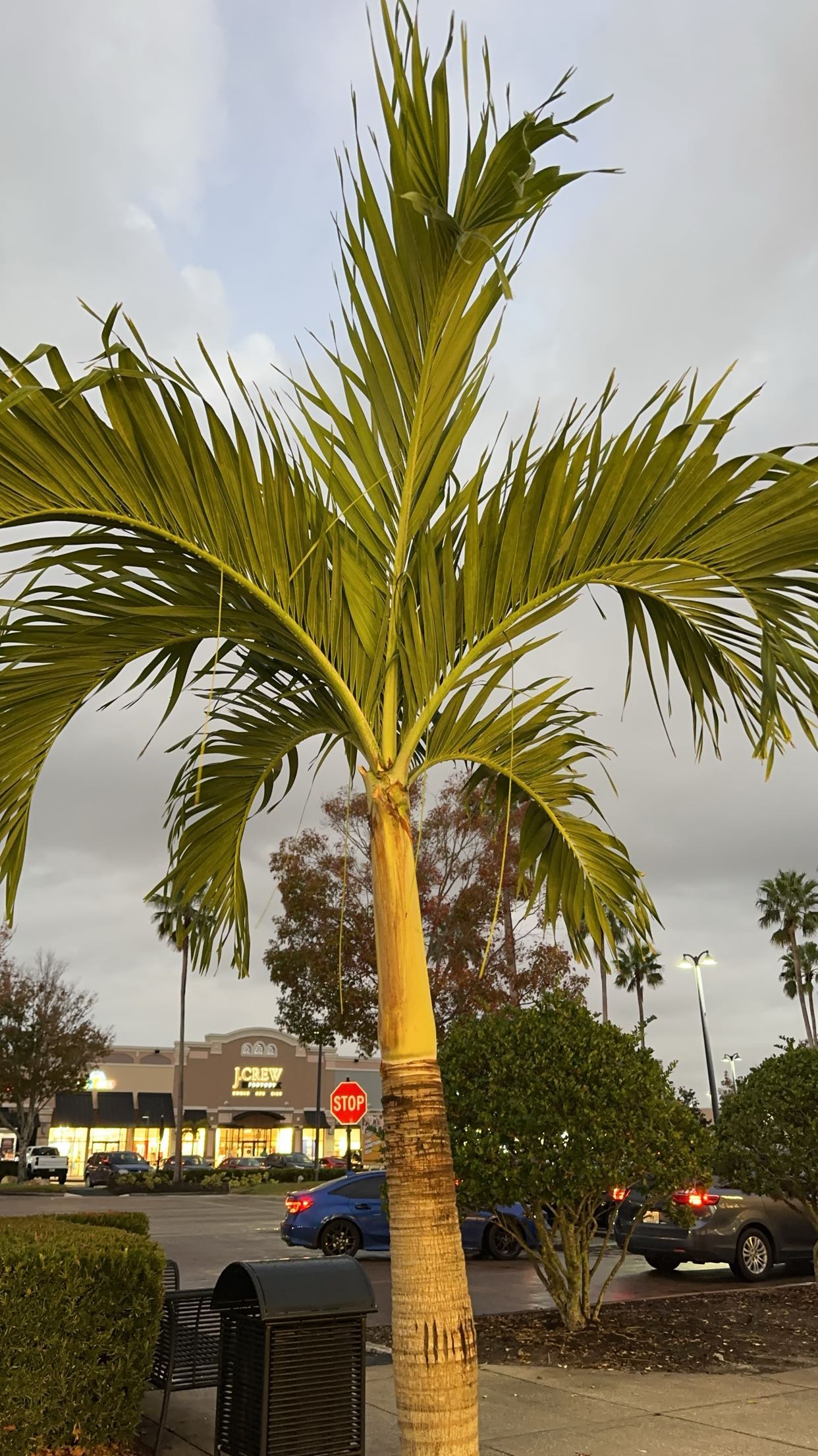 keab01 snapchat image archive image