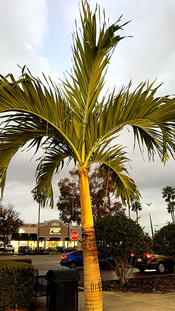 keab01 image ~ Altpins