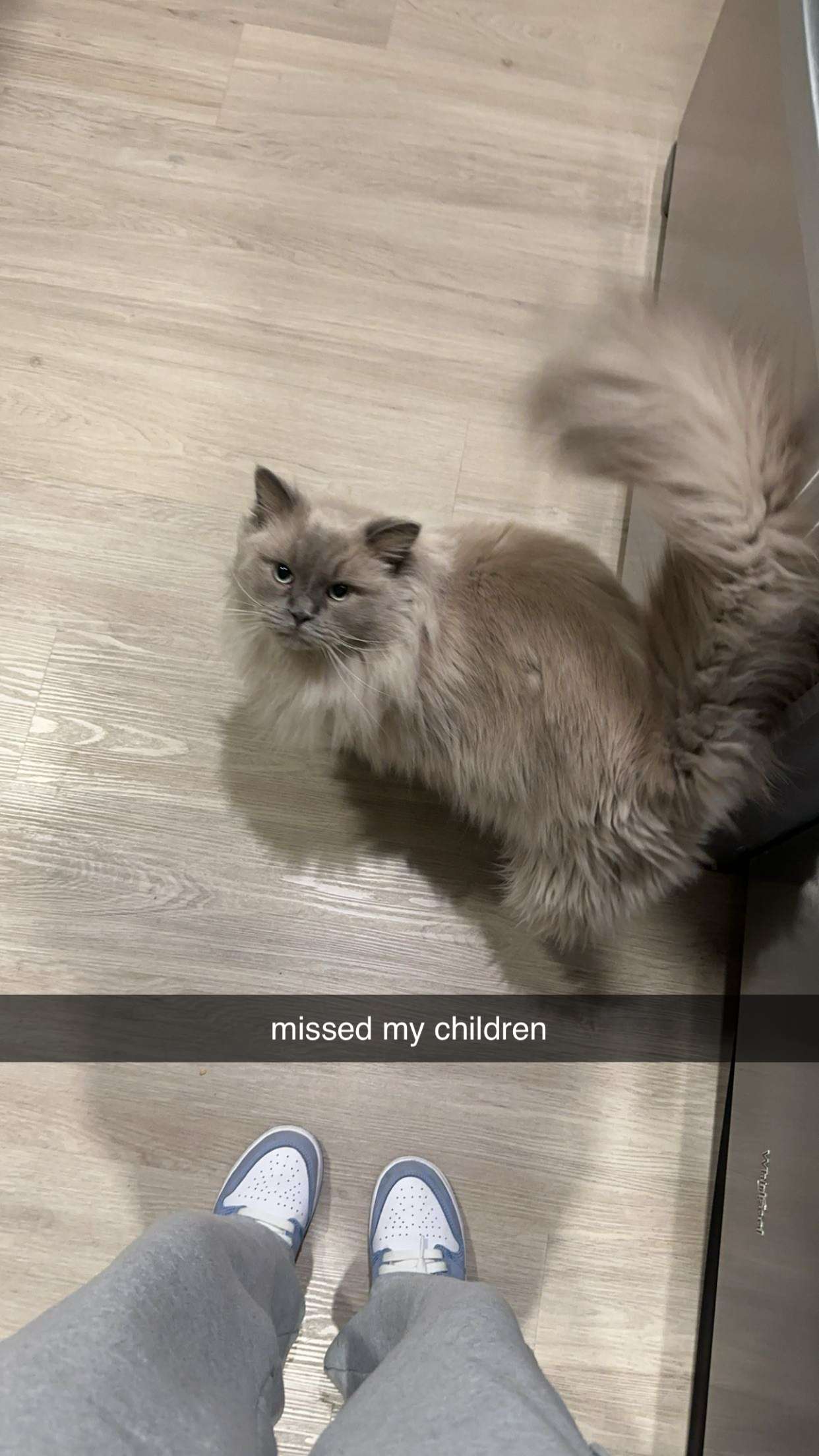 keab01 snapchat image archive image