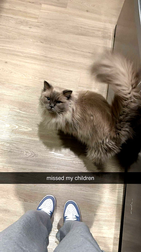 keab01 image ~ Altpins