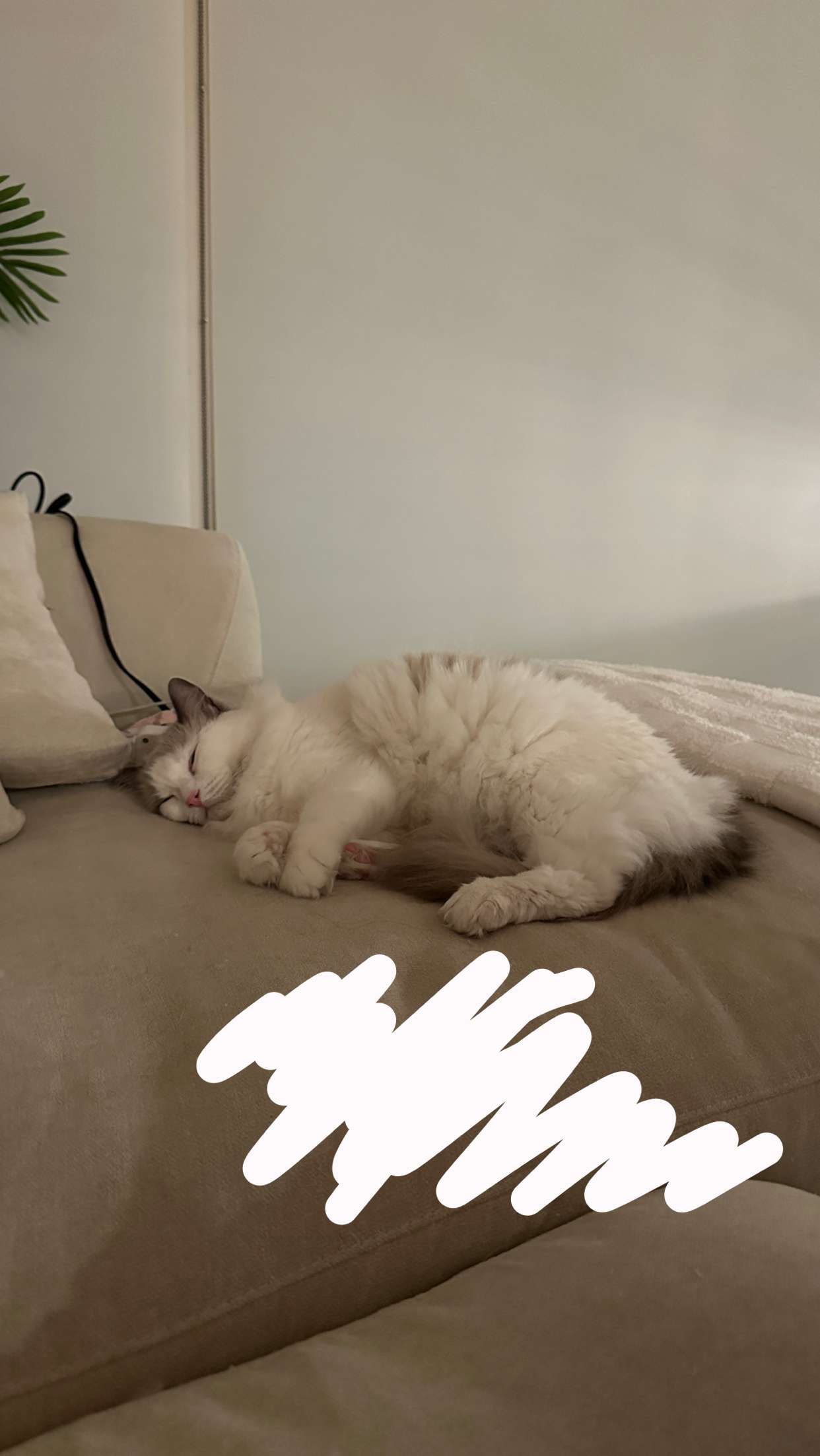 keab01 snapchat image archive image