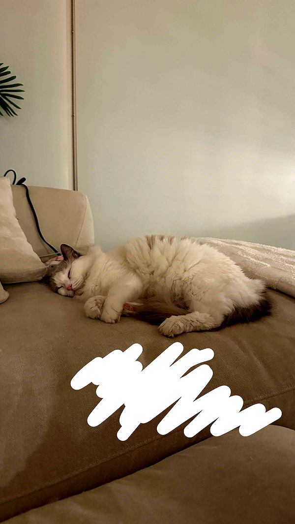 keab01 image ~ Altpins