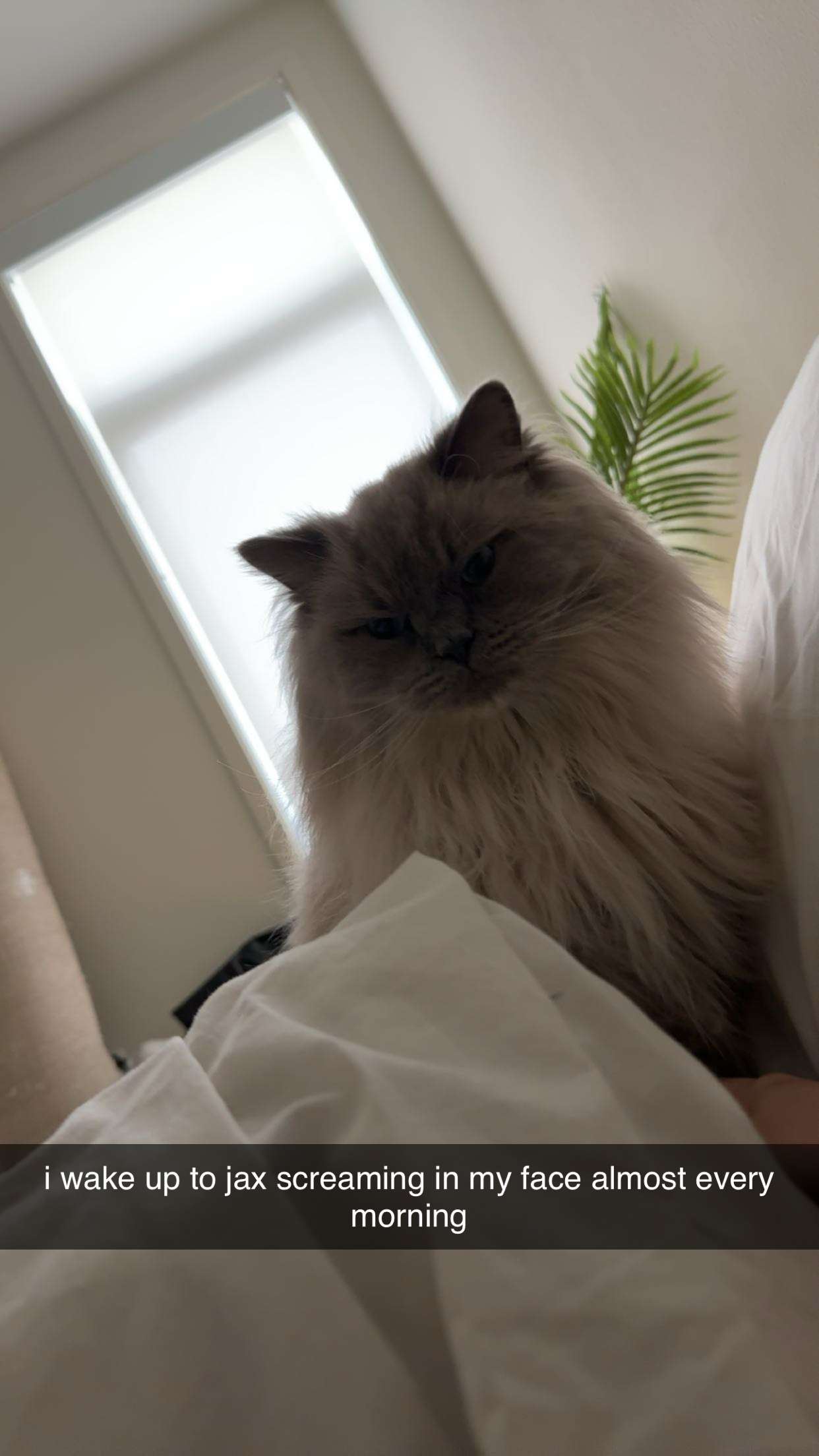 keab01 snapchat image archive image