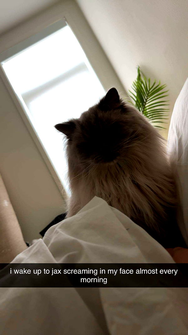 keab01 image ~ Altpins