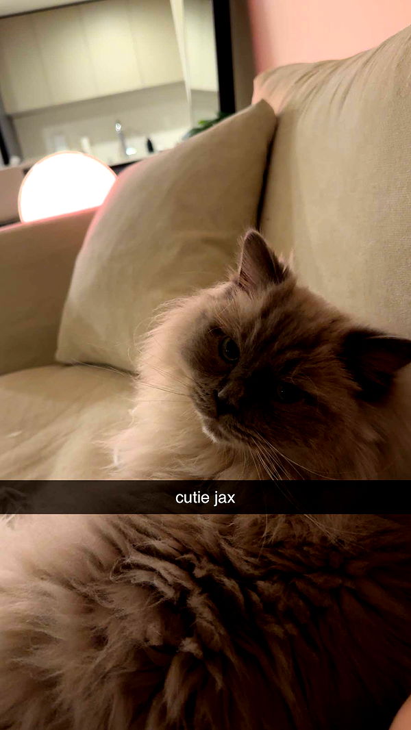 keab01 image ~ Altpins