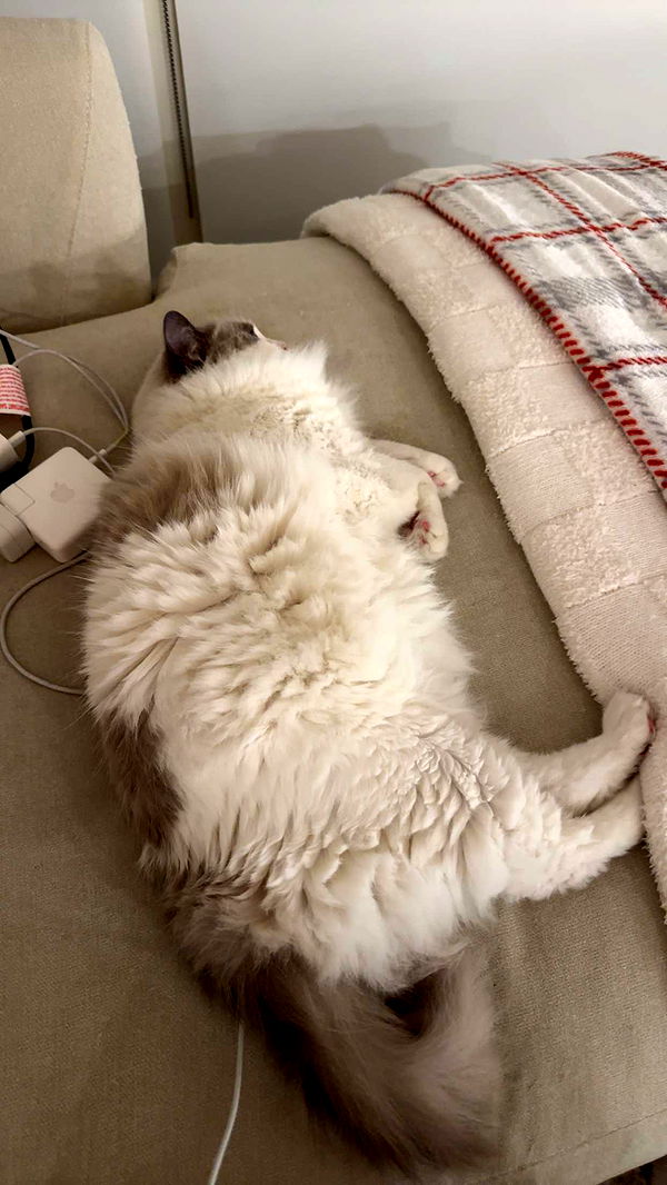 keab01 image ~ Altpins