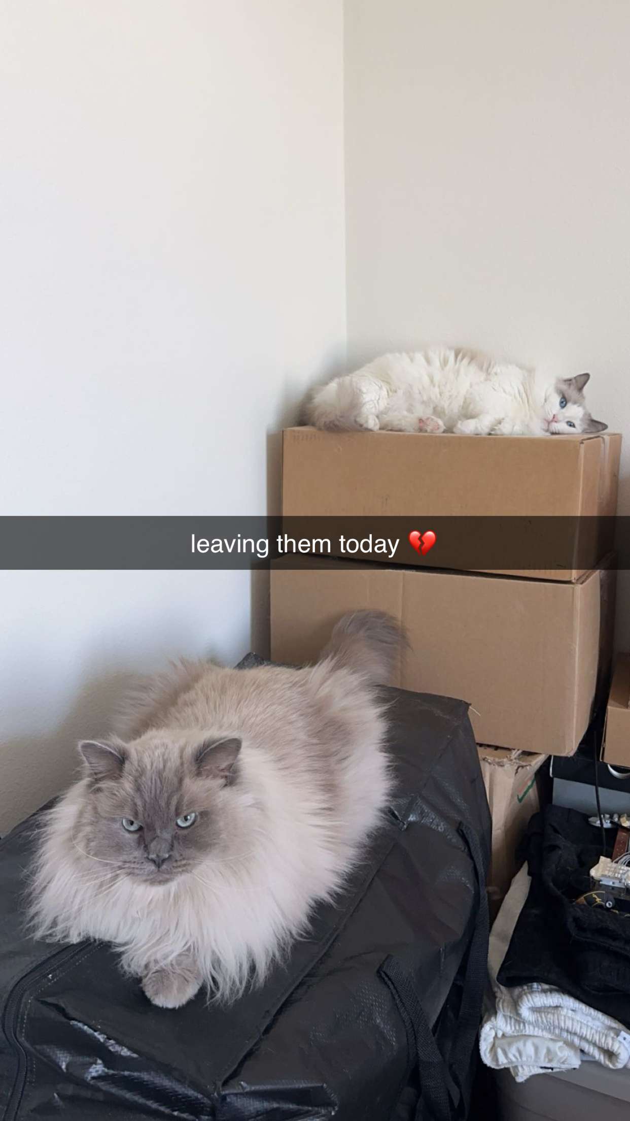 keab01 snapchat image archive image