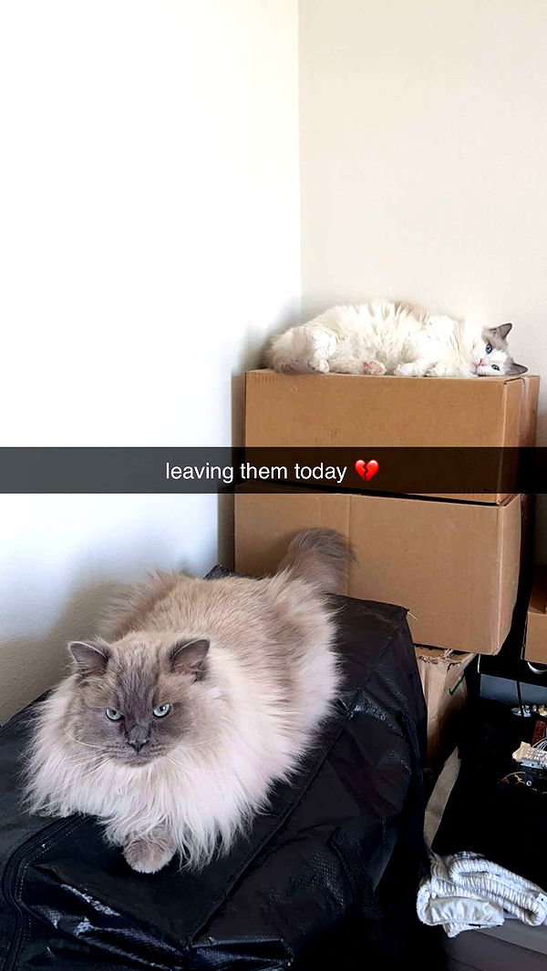 keab01 image ~ Altpins