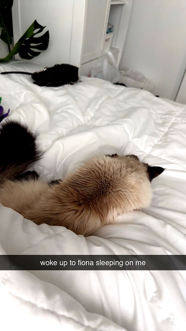 keab01 image ~ Altpins