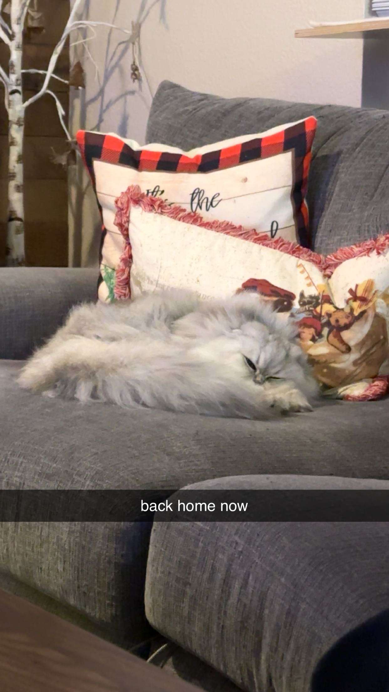 keab01 snapchat image archive image