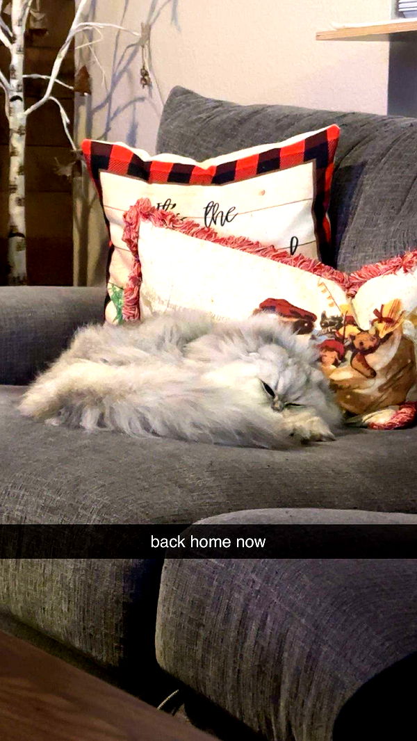 keab01 image ~ Altpins