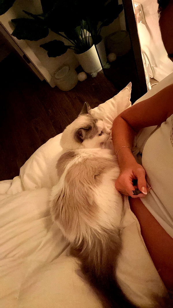 keab01 image ~ Altpins