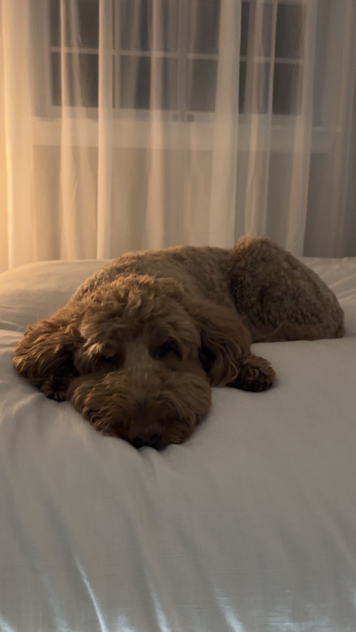 keab01 snapchat image archive image